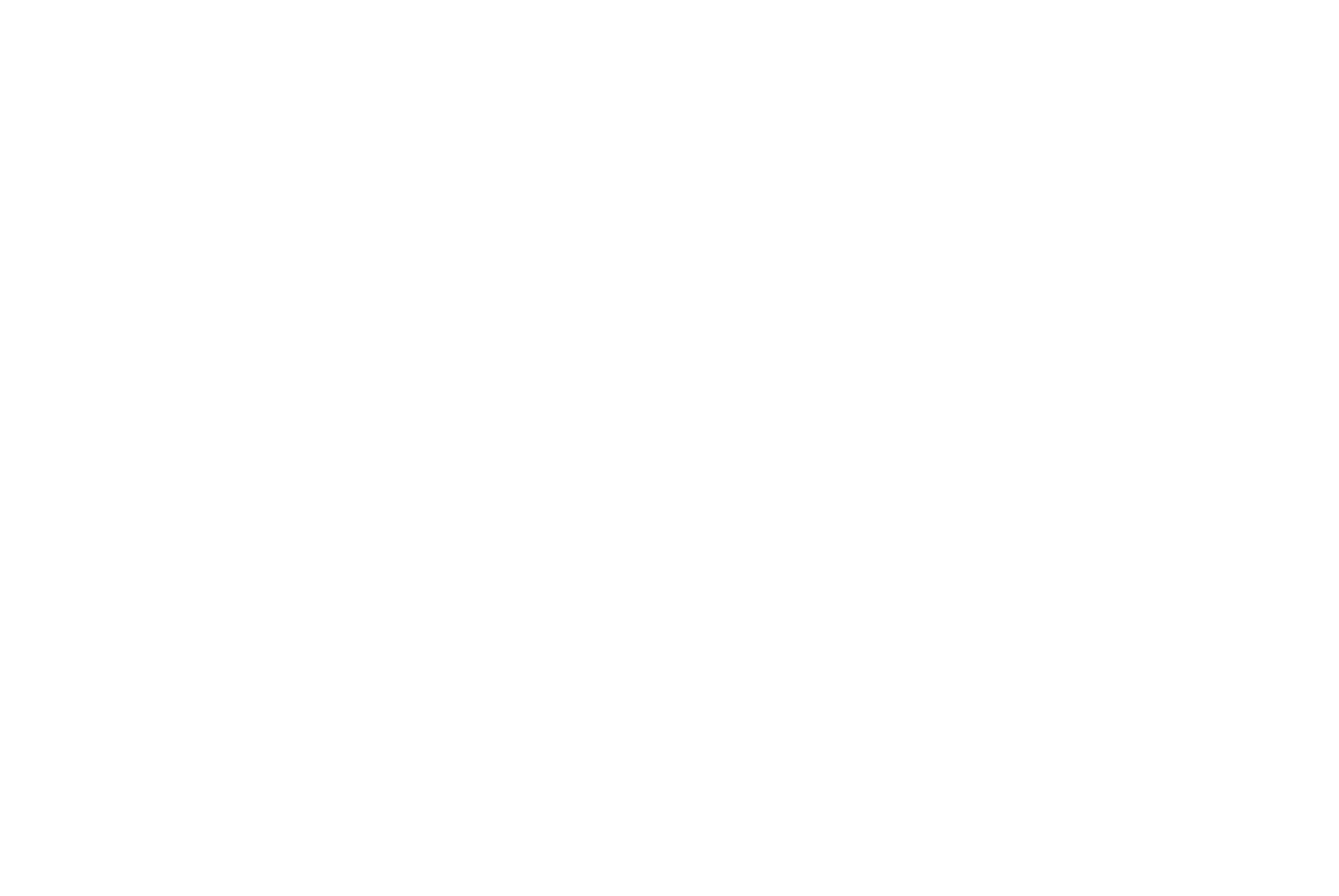 Funkgerät mit multimedia Funktionen